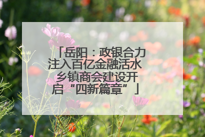 岳阳：政银合力注入百亿金融活水 乡镇商会建设开启“四新篇章”