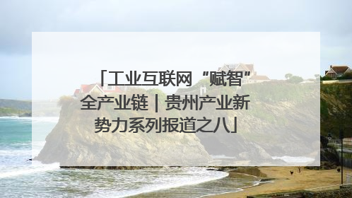 工业互联网“赋智”全产业链｜贵州产业新势力系列报道之八