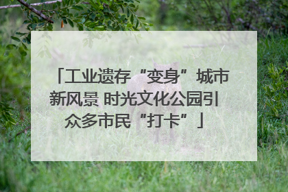 工业遗存“变身”城市新风景 时光文化公园引众多市民“打卡”