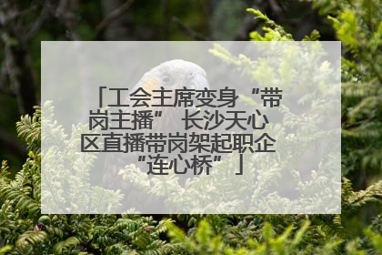 工会主席变身“带岗主播” 长沙天心区直播带岗架起职企“连心桥”