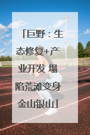 巨野：生态修复+产业开发 塌陷荒滩变身金山银山