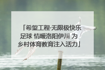 希望工程·无限极快乐足球 情暖洛阳伊川 为乡村体育教育注入活力