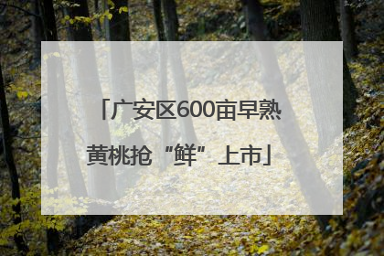 广安区600亩早熟黄桃抢“鲜”上市