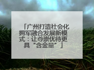 广州打造社会化拥军融合发展新模式：让尊崇优待更具“含金量”
