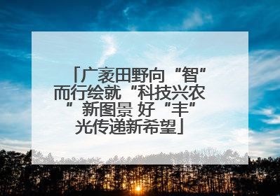广袤田野向“智”而行绘就“科技兴农”新图景 好“丰”光传递新希望