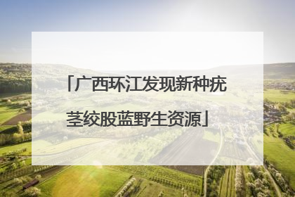 广西环江发现新种疣茎绞股蓝野生资源