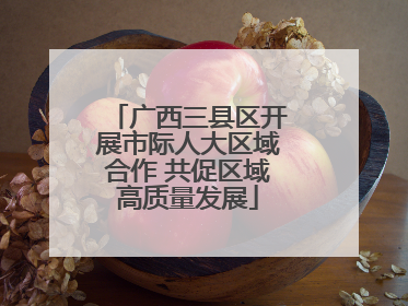 广西三县区开展市际人大区域合作 共促区域高质量发展