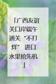 广西友谊关口岸端午通关“不打烊” 进口水果抢先机