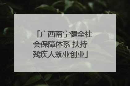 广西南宁健全社会保障体系 扶持残疾人就业创业