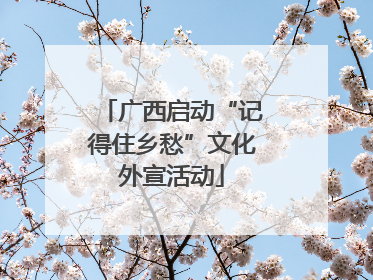 广西启动“记得住乡愁”文化外宣活动