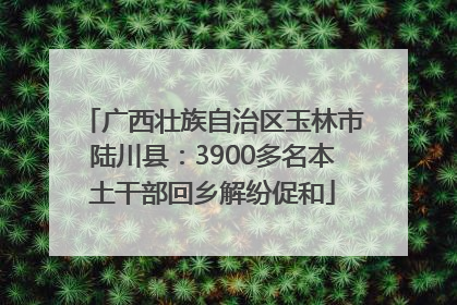 广西壮族自治区玉林市陆川县：3900多名本土干部回乡解纷促和