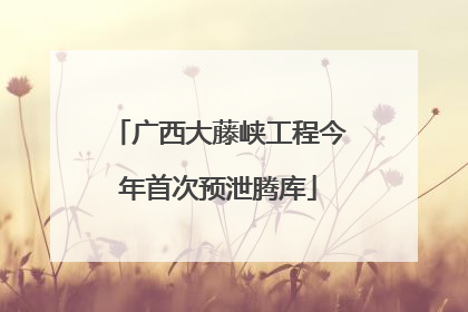 广西大藤峡工程今年首次预泄腾库