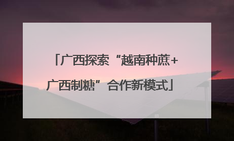 广西探索“越南种蔗+广西制糖”合作新模式