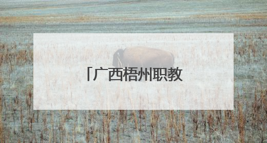 广西梧州职教学子展技能 气球上切肉丝