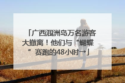 广西涠洲岛万名游客大撤离！他们与“蝴蝶”赛跑的48小时→
