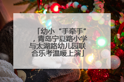 幼小“手牵手”，青岛宁夏路小学与太湖路幼儿园联合乐考温暖上演