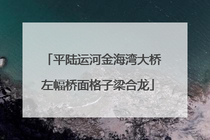 平陆运河金海湾大桥左幅桥面格子梁合龙