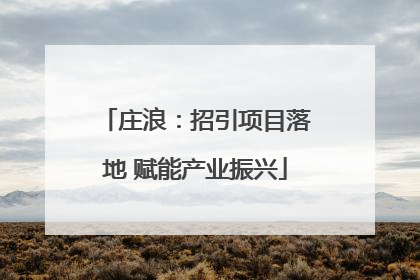 庄浪：招引项目落地 赋能产业振兴