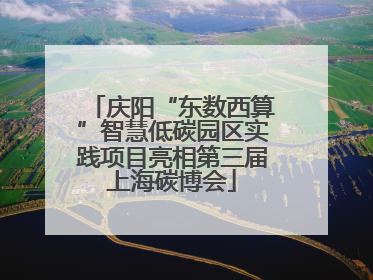 庆阳“东数西算”智慧低碳园区实践项目亮相第三届上海碳博会