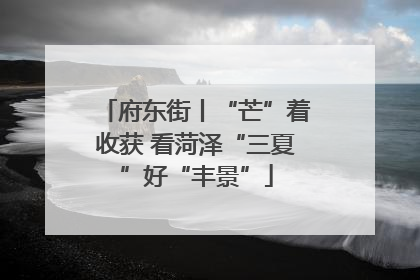 府东街丨“芒”着收获 看菏泽“三夏”好“丰景”