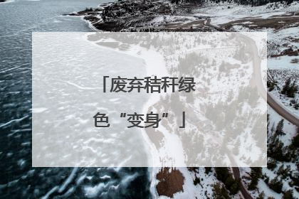 废弃秸秆绿色“变身”