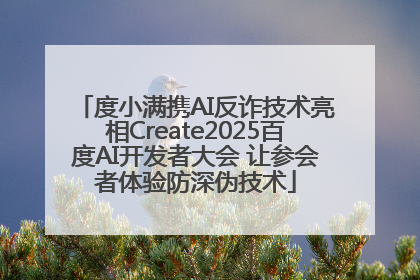 度小满携AI反诈技术亮相Create2025百度AI开发者大会 让参会者体验防深伪技术