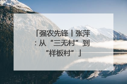 强农先锋丨张萍：从“三无村”到“样板村”