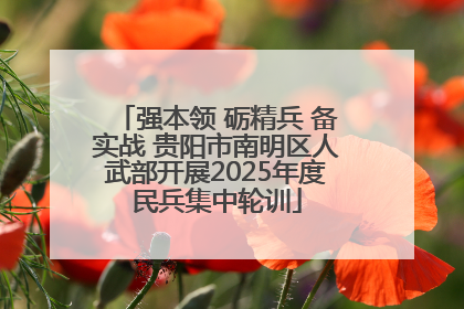 强本领 砺精兵 备实战 贵阳市南明区人武部开展2025年度民兵集中轮训