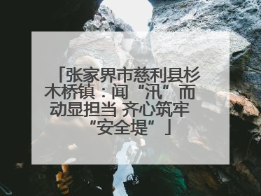 张家界市慈利县杉木桥镇：闻“汛”而动显担当 齐心筑牢“安全堤”