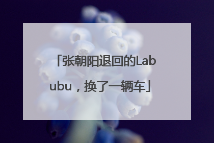 张朝阳退回的Labubu，换了一辆车