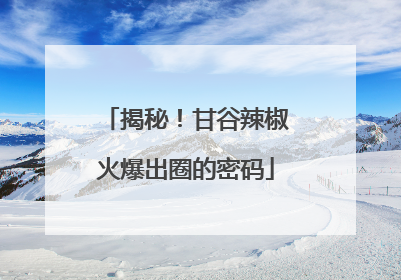 揭秘！甘谷辣椒火爆出圈的密码