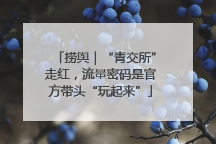 捞舆｜“青交所”走红，流量密码是官方带头“玩起来”