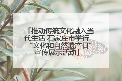 推动传统文化融入当代生活 石家庄市举行“文化和自然遗产日”宣传展示活动