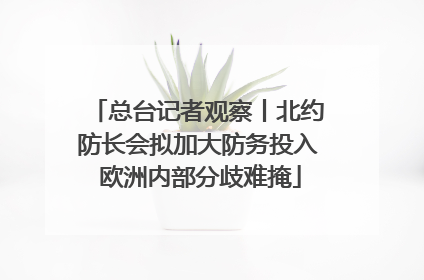 总台记者观察丨北约防长会拟加大防务投入 欧洲内部分歧难掩