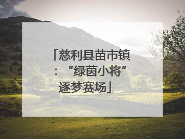 慈利县苗市镇：“绿茵小将”逐梦赛场