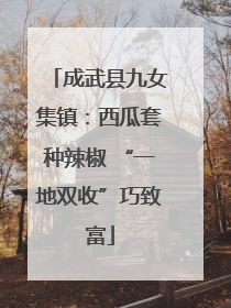 成武县九女集镇：西瓜套种辣椒 “一地双收”巧致富