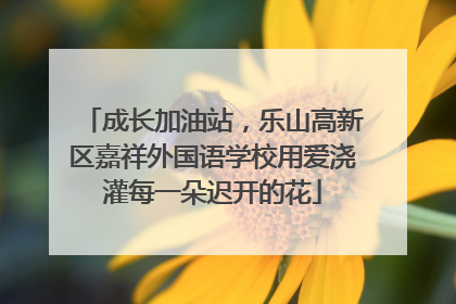 成长加油站，乐山高新区嘉祥外国语学校用爱浇灌每一朵迟开的花