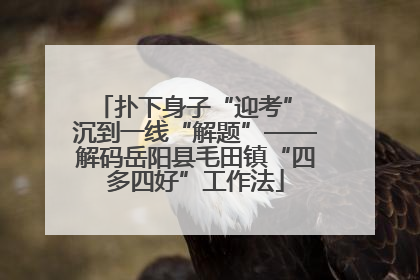 扑下身子“迎考” 沉到一线“解题”——解码岳阳县毛田镇“四多四好”工作法
