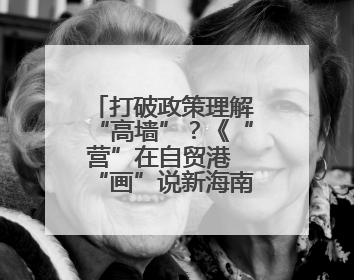 打破政策理解“高墙”？《“营”在自贸港 “画”说新海南》发布