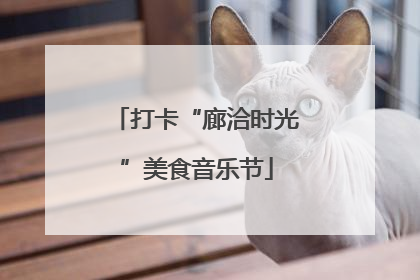 打卡“廊洽时光”美食音乐节