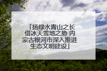 扬绿水青山之长 借冰天雪地之势 内蒙古根河市深入推进生态文明建设
