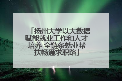 扬州大学以大数据赋能就业工作和人才培养 全链条就业帮扶畅通求职路