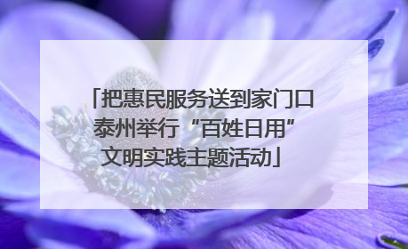 把惠民服务送到家门口 泰州举行“百姓日用”文明实践主题活动