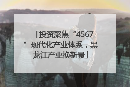 投资聚焦“4567”现代化产业体系，黑龙江产业换新景