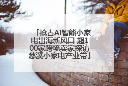 抢占AI智能小家电出海新风口 超100家跨境卖家探访慈溪小家电产业带
