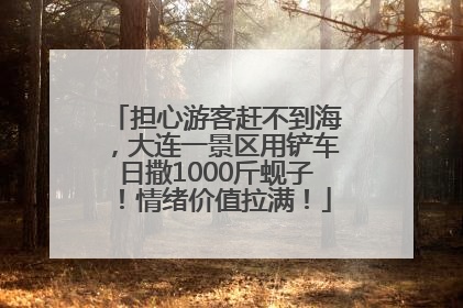 担心游客赶不到海，大连一景区用铲车日撒1000斤蚬子！情绪价值拉满！