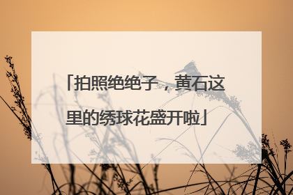 拍照绝绝子，黄石这里的绣球花盛开啦