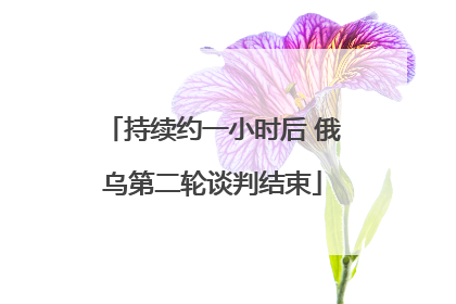 持续约一小时后 俄乌第二轮谈判结束