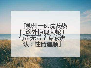 柳州一医院发热门诊外惊现大蛇！有毒无毒？专家辨认：性情温顺