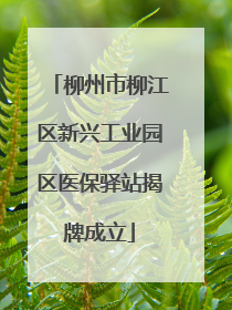 柳州市柳江区新兴工业园区医保驿站揭牌成立